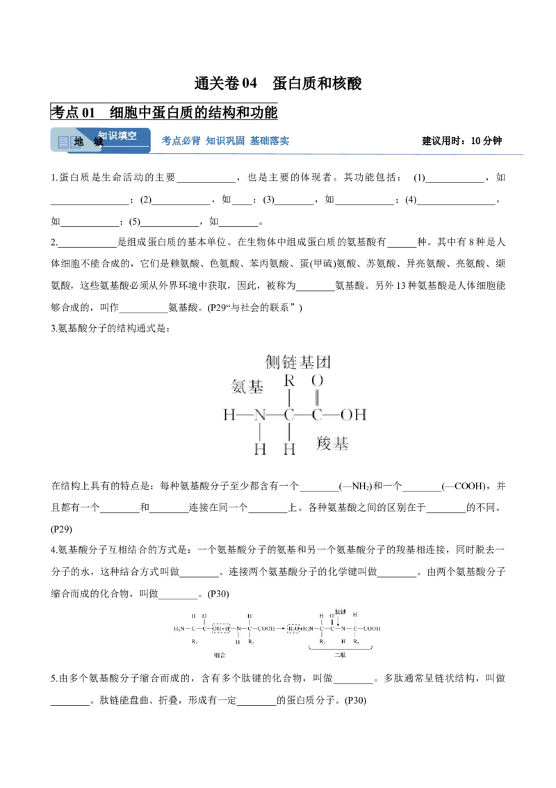 考点通关卷04蛋白质和核酸（原卷版）_新高考复习资料_2025年新高考资料_2025年高考生物一轮复习考点通关卷（新高考通用）