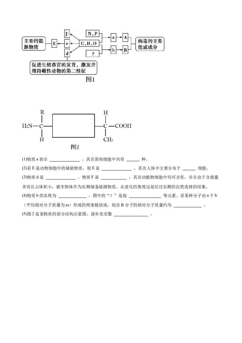 考点通关卷04蛋白质和核酸（原卷版）_新高考复习资料_2025年新高考资料_2025年高考生物一轮复习考点通关卷（新高考通用）