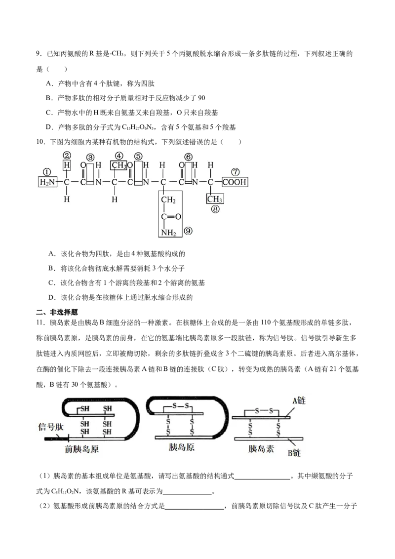 考点通关卷04蛋白质和核酸（原卷版）_新高考复习资料_2025年新高考资料_2025年高考生物一轮复习考点通关卷（新高考通用）