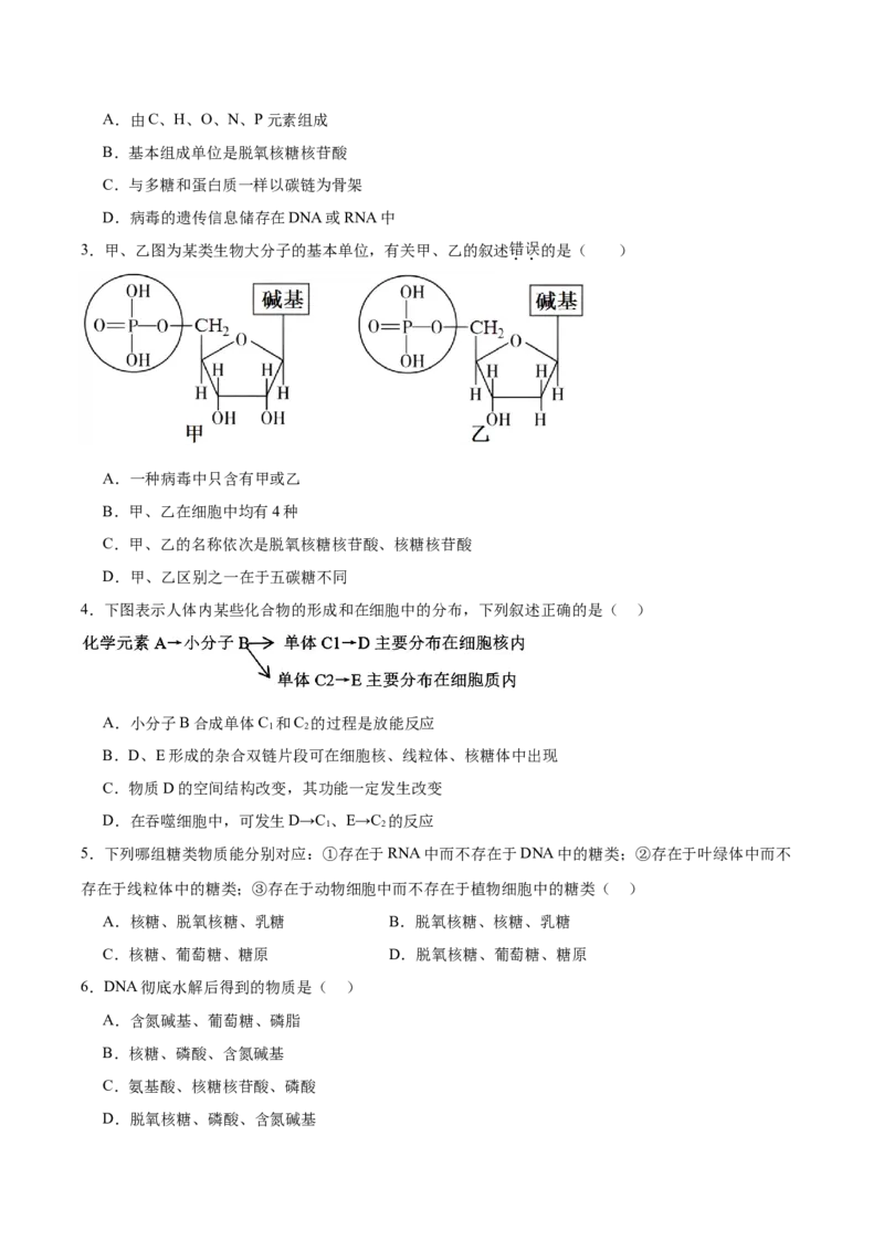 考点通关卷04蛋白质和核酸（原卷版）_新高考复习资料_2025年新高考资料_2025年高考生物一轮复习考点通关卷（新高考通用）