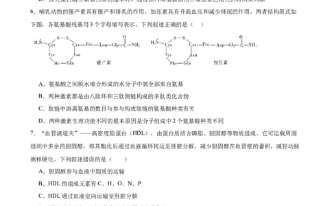 考点通关卷04蛋白质和核酸（原卷版）_新高考复习资料_2025年新高考资料_2025年高考生物一轮复习考点通关卷（新高考通用）