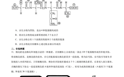 考点通关卷04蛋白质和核酸（原卷版）_新高考复习资料_2025年新高考资料_2025年高考生物一轮复习考点通关卷（新高考通用）