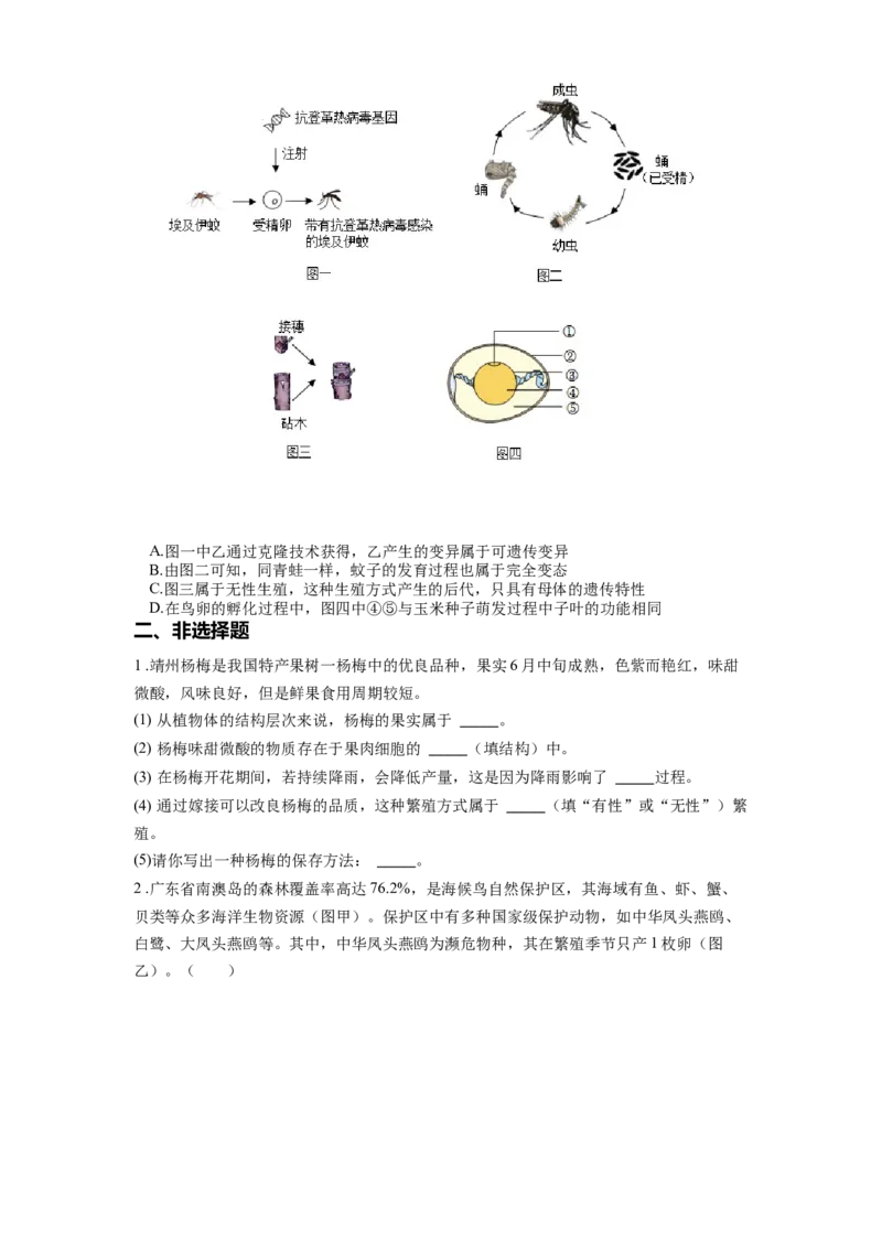 专题22生物的生殖和发育（原卷版）_6生物中考复习_2024年中考复习资料_一轮复习资料_完精准复习课件精讲ppt+习题精练备战2024年中考生物一轮复习全考点通关_配套练习
