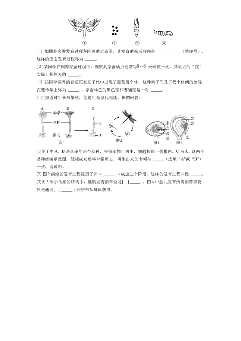 专题22生物的生殖和发育（原卷版）_6生物中考复习_2024年中考复习资料_一轮复习资料_完精准复习课件精讲ppt+习题精练备战2024年中考生物一轮复习全考点通关_配套练习