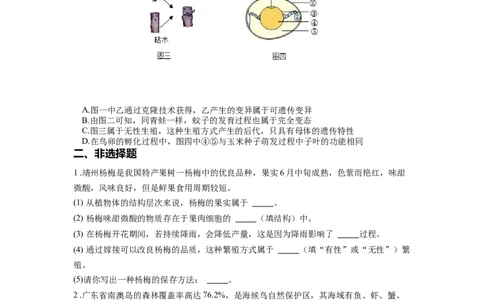 专题22生物的生殖和发育（原卷版）_6生物中考复习_2024年中考复习资料_一轮复习资料_完精准复习课件精讲ppt+习题精练备战2024年中考生物一轮复习全考点通关_配套练习