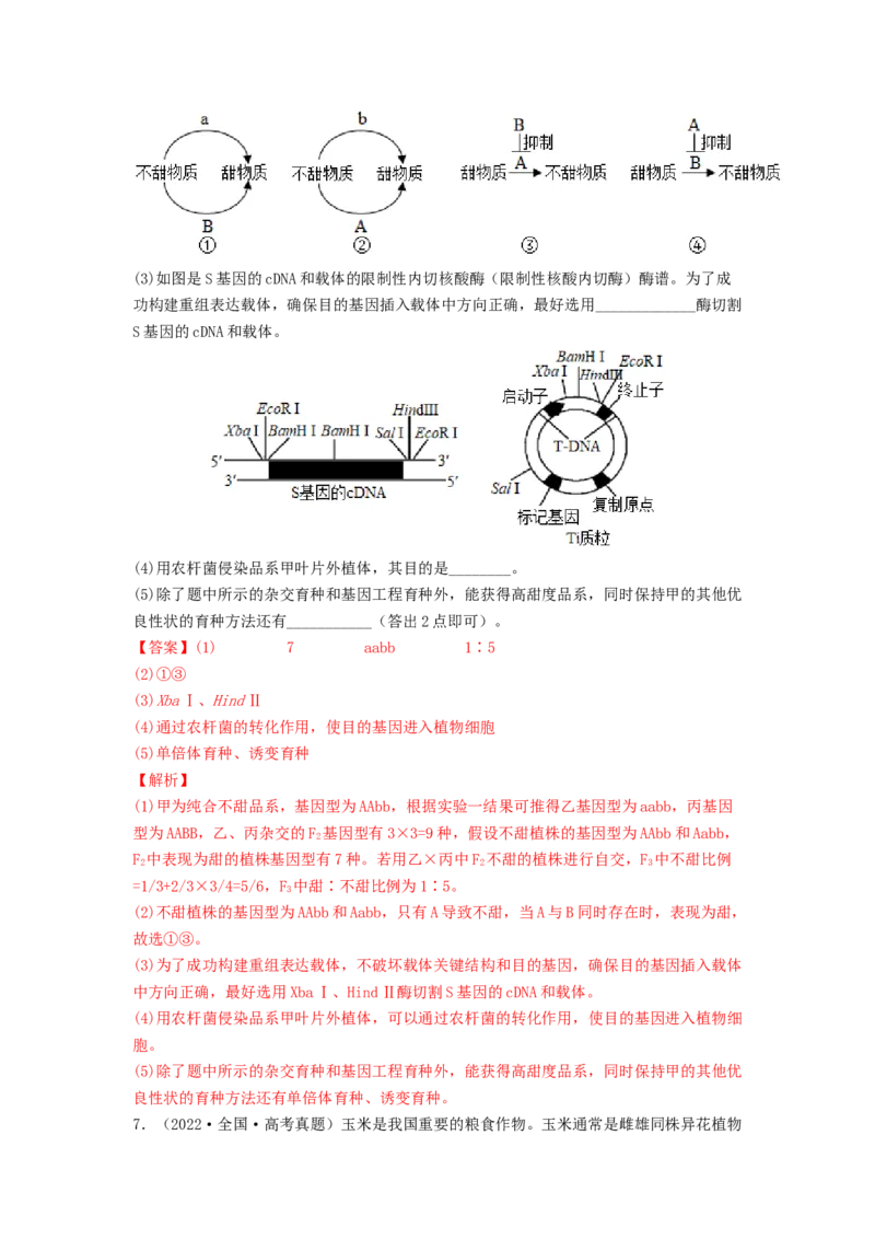 考点16基因的自由组合定律（核心考点讲与练）-2023年高考生物一轮复习讲练测（全国通用）（解析版）_通用版（老高考）复习资料_2023年复习资料_一轮复习