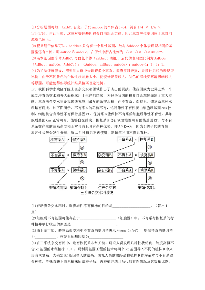 考点16基因的自由组合定律（核心考点讲与练）-2023年高考生物一轮复习讲练测（全国通用）（解析版）_通用版（老高考）复习资料_2023年复习资料_一轮复习