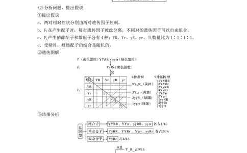 考点16基因的自由组合定律（核心考点讲与练）-2023年高考生物一轮复习讲练测（全国通用）（解析版）_通用版（老高考）复习资料_2023年复习资料_一轮复习