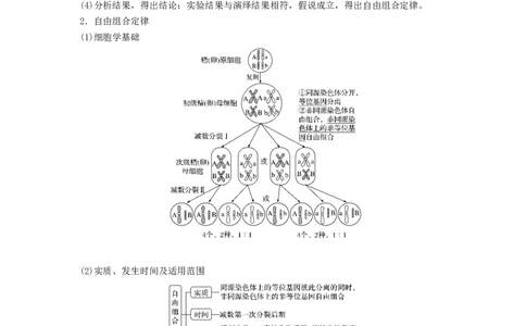 考点16基因的自由组合定律（核心考点讲与练）-2023年高考生物一轮复习讲练测（全国通用）（解析版）_通用版（老高考）复习资料_2023年复习资料_一轮复习