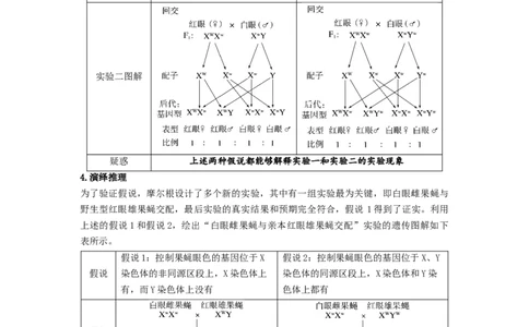 考点17伴性遗传和人类遗传病（解析版）_通用版（老高考）复习资料_2023年复习资料_一轮复习_2023年高考生物一轮复习讲练测（全国通用）