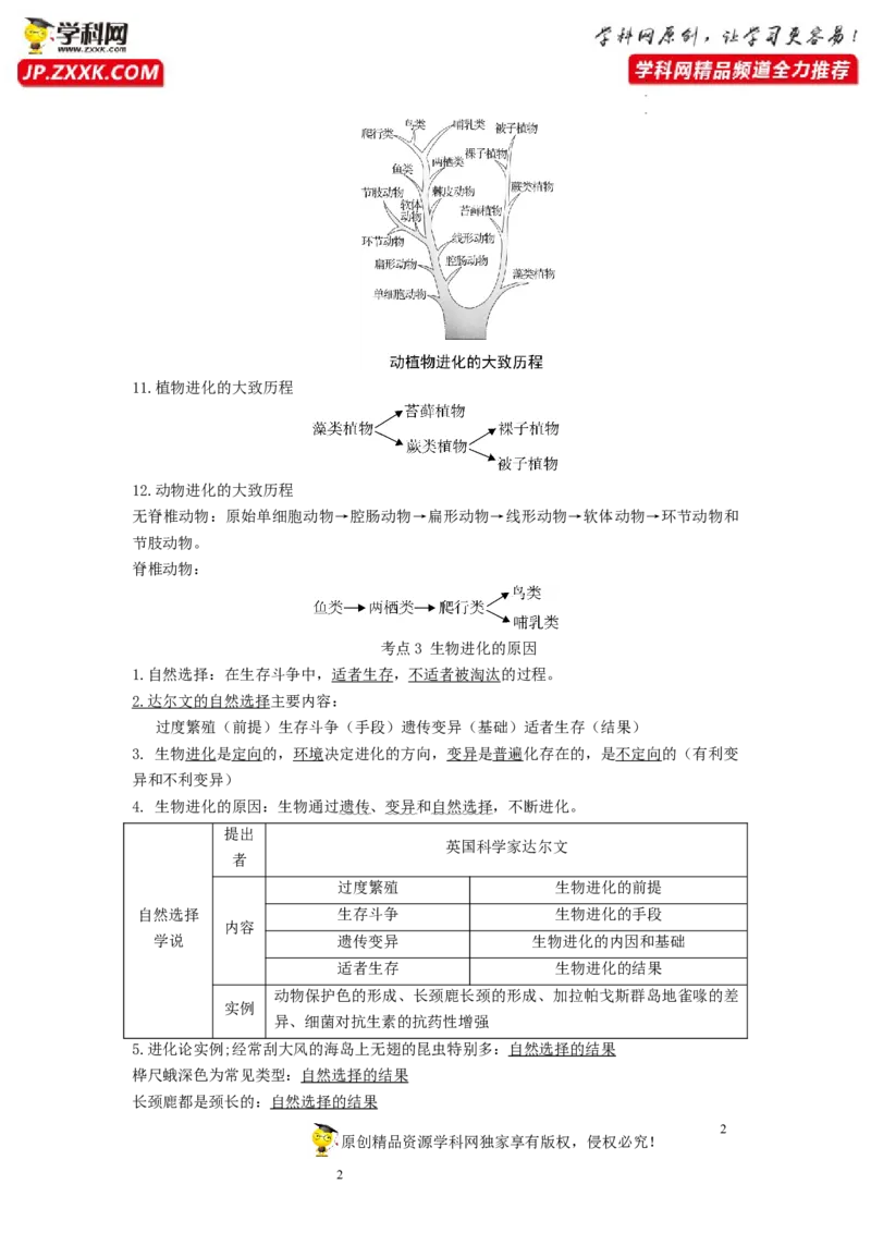专题18生命的起源和生物的进化（知识帮）-备战2023年中考生物一轮复习考点帮（全国通用）_6生物中考复习_2023年中考复习资料_一轮复习