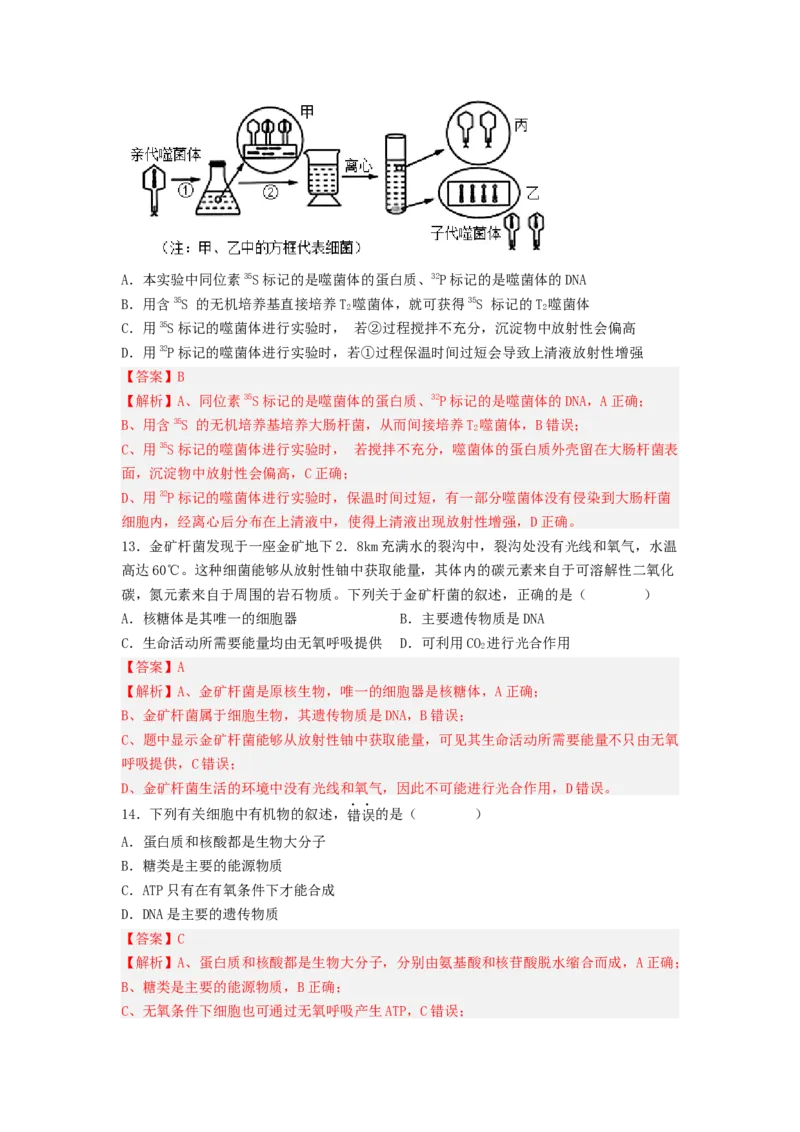 考点18DNA是主要的遗传物质（解析版）_通用版（老高考）复习资料_2023年复习资料_一轮复习_2023年高考生物一轮复习讲练测（全国通用）