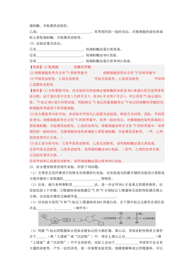 考点18DNA是主要的遗传物质（解析版）_通用版（老高考）复习资料_2023年复习资料_一轮复习_2023年高考生物一轮复习讲练测（全国通用）