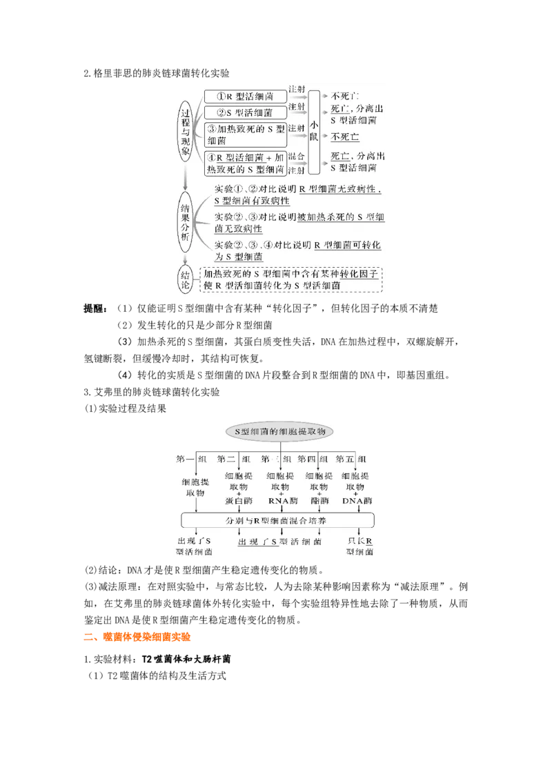 考点18DNA是主要的遗传物质（解析版）_通用版（老高考）复习资料_2023年复习资料_一轮复习_2023年高考生物一轮复习讲练测（全国通用）