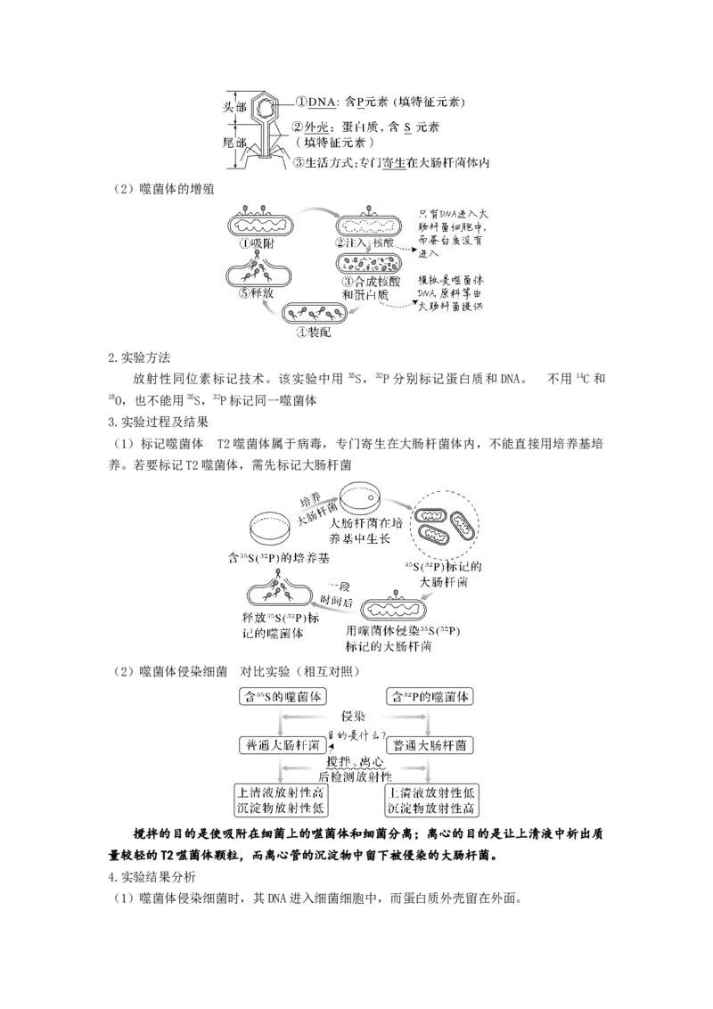 考点18DNA是主要的遗传物质（解析版）_通用版（老高考）复习资料_2023年复习资料_一轮复习_2023年高考生物一轮复习讲练测（全国通用）