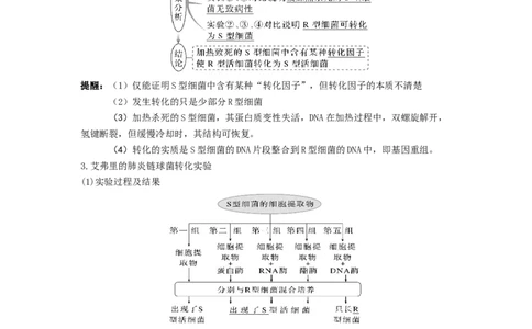 考点18DNA是主要的遗传物质（解析版）_通用版（老高考）复习资料_2023年复习资料_一轮复习_2023年高考生物一轮复习讲练测（全国通用）