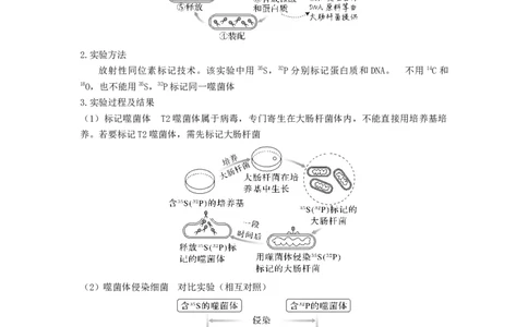 考点18DNA是主要的遗传物质（解析版）_通用版（老高考）复习资料_2023年复习资料_一轮复习_2023年高考生物一轮复习讲练测（全国通用）