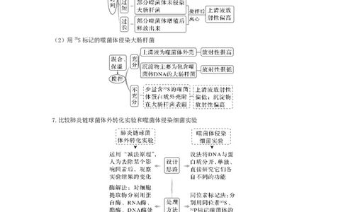 考点18DNA是主要的遗传物质（解析版）_通用版（老高考）复习资料_2023年复习资料_一轮复习_2023年高考生物一轮复习讲练测（全国通用）