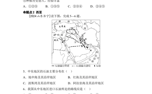 专题八认识地区练习1东南亚西亚（含答案）2026年中考地理一轮复习_7地理中考复习_2026年中考复习（更新中）_2026年中考地理一轮复习专题+阶段综合练（含答案）