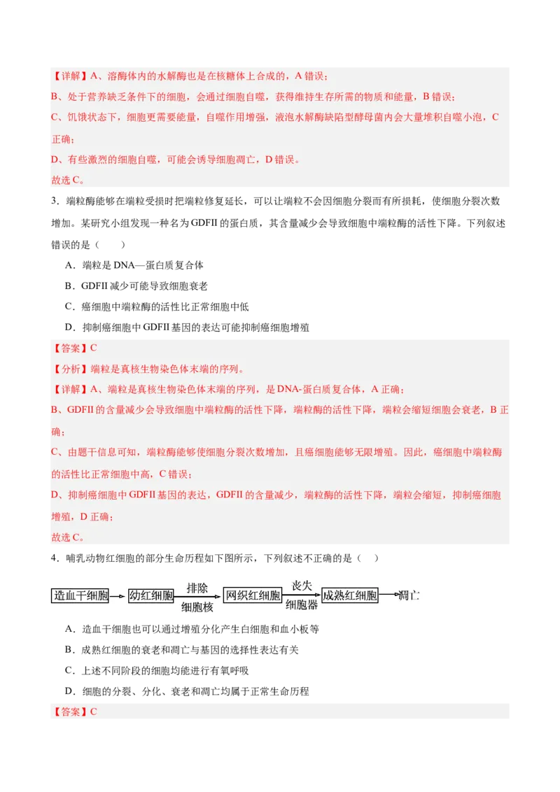 考点通关卷14细胞分化、衰老、凋亡和癌变（解析版）_2025年新高考资料_一轮复习_2025年高考生物一轮复习考点通关卷（新高考通用）