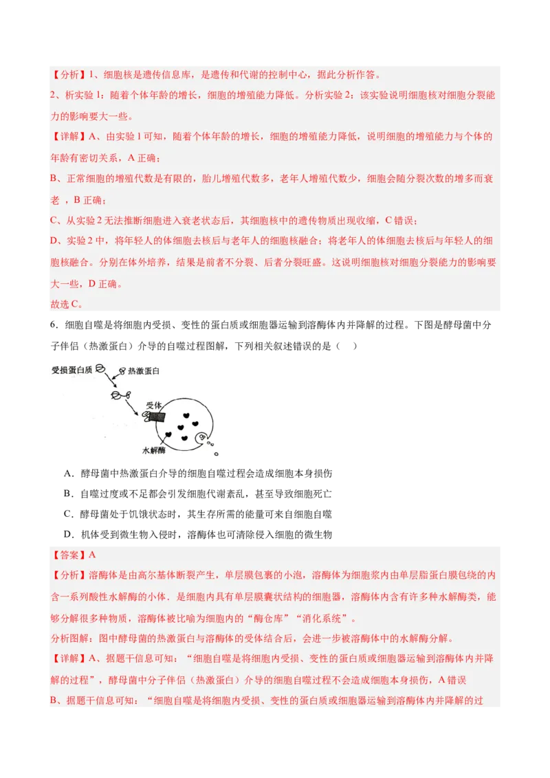 考点通关卷14细胞分化、衰老、凋亡和癌变（解析版）_2025年新高考资料_一轮复习_2025年高考生物一轮复习考点通关卷（新高考通用）