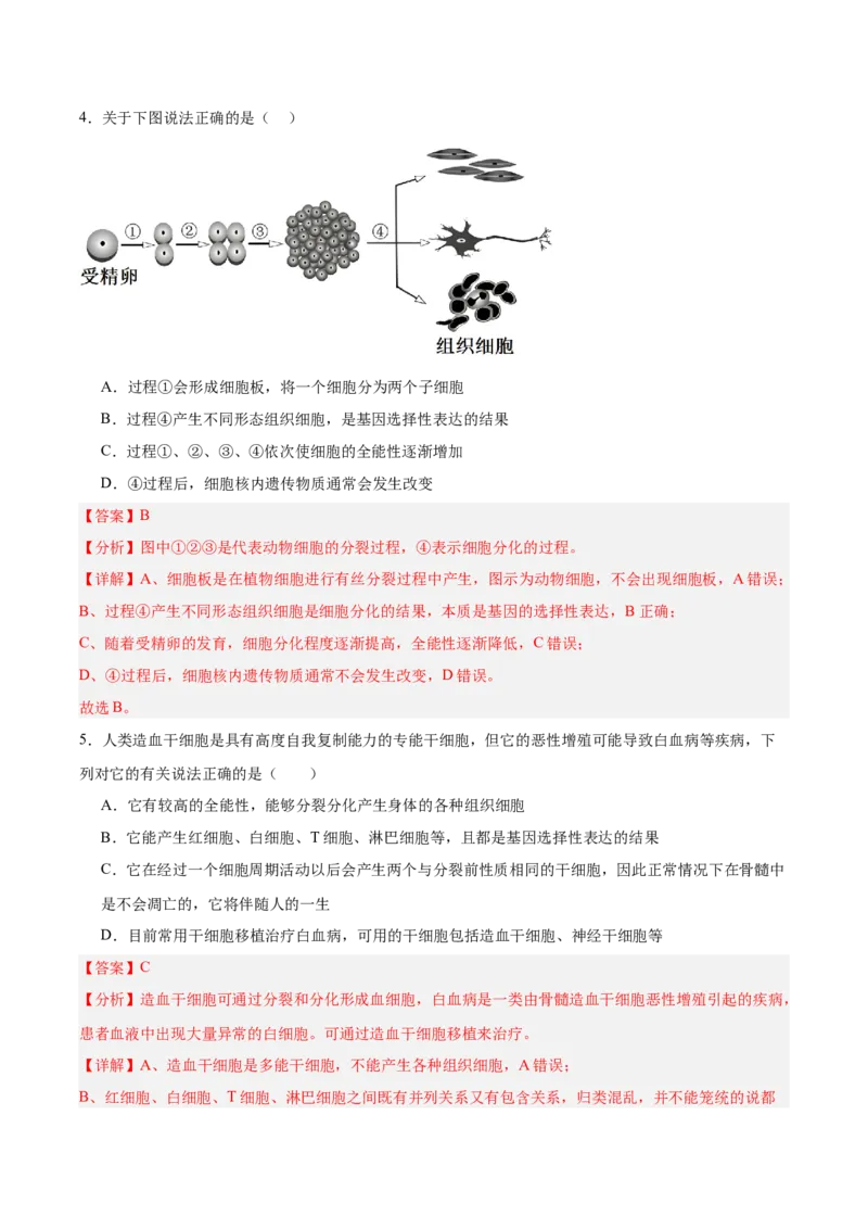 考点通关卷14细胞分化、衰老、凋亡和癌变（解析版）_2025年新高考资料_一轮复习_2025年高考生物一轮复习考点通关卷（新高考通用）