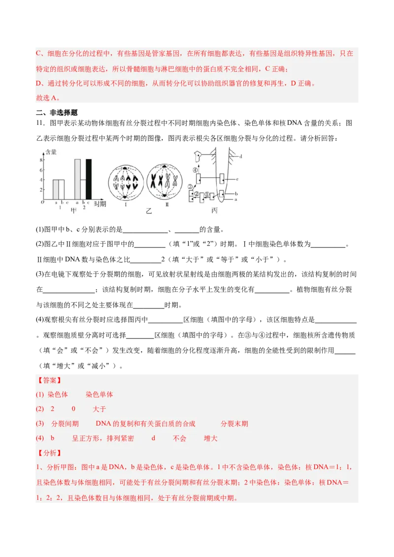 考点通关卷14细胞分化、衰老、凋亡和癌变（解析版）_2025年新高考资料_一轮复习_2025年高考生物一轮复习考点通关卷（新高考通用）