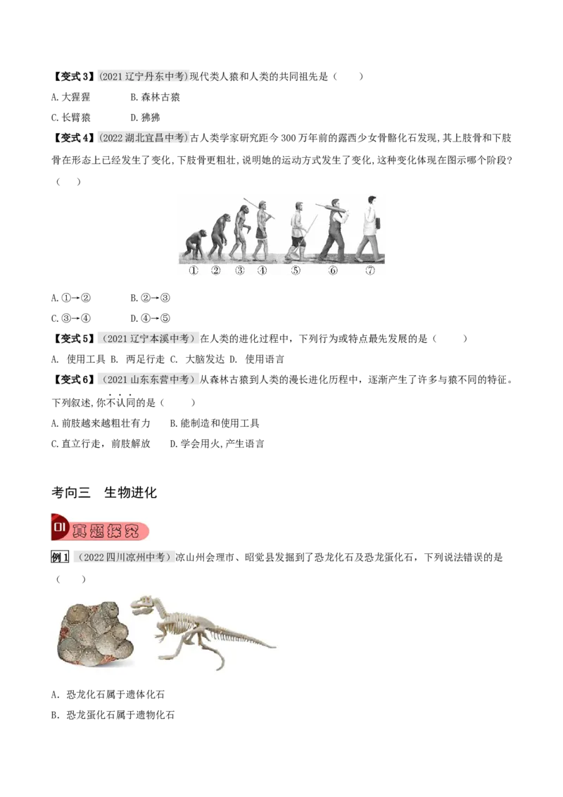 专题19生命的起源和进化（原卷版）_6生物中考复习_2023年中考复习资料_专项复习_2023年中考生物总复习真题探究与变式训练（全国通用）