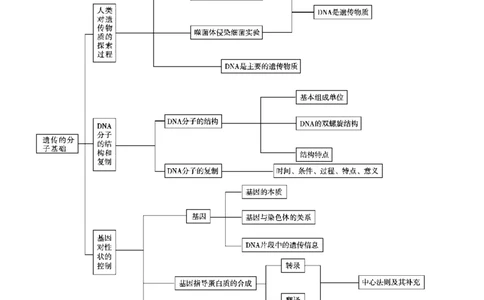 考点精讲9遗传的分子基础（教案）_新高考复习资料_2022年新高考复习资料_2022届一轮复习讲练结合7.13更新_系列二_考点精讲9遗传的分子基础