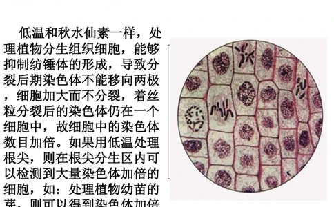 考点精讲9遗传的分子基础（教案）_新高考复习资料_2022年新高考复习资料_2022届一轮复习讲练结合7.13更新_系列二_考点精讲9遗传的分子基础