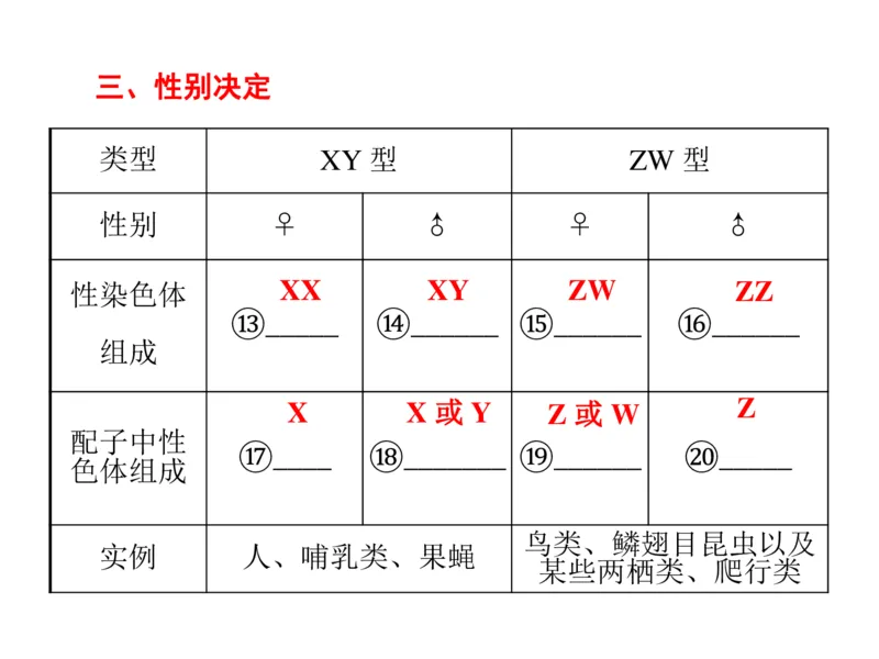 考点精讲9遗传的分子基础（教案）_新高考复习资料_2022年新高考复习资料_2022届一轮复习讲练结合7.13更新_系列二_考点精讲9遗传的分子基础
