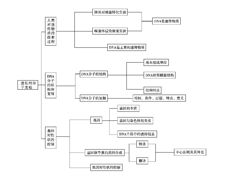 考点精讲9遗传的分子基础（教案）_新高考复习资料_2022年新高考复习资料_2022届一轮复习讲练结合7.13更新_系列二_考点精讲9遗传的分子基础
