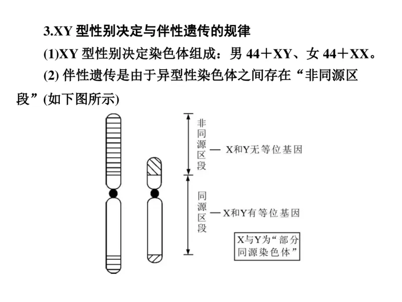 考点精讲9遗传的分子基础（教案）_新高考复习资料_2022年新高考复习资料_2022届一轮复习讲练结合7.13更新_系列二_考点精讲9遗传的分子基础