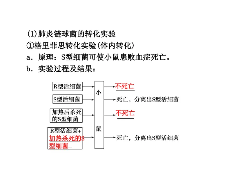 考点精讲9遗传的分子基础（教案）_新高考复习资料_2022年新高考复习资料_2022届一轮复习讲练结合7.13更新_系列二_考点精讲9遗传的分子基础