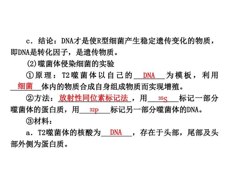 考点精讲9遗传的分子基础（教案）_新高考复习资料_2022年新高考复习资料_2022届一轮复习讲练结合7.13更新_系列二_考点精讲9遗传的分子基础