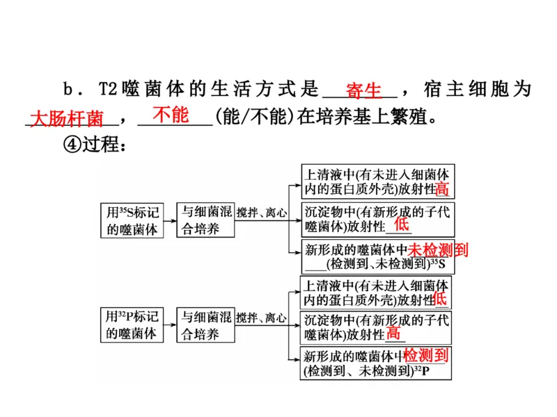 考点精讲9遗传的分子基础（教案）_新高考复习资料_2022年新高考复习资料_2022届一轮复习讲练结合7.13更新_系列二_考点精讲9遗传的分子基础