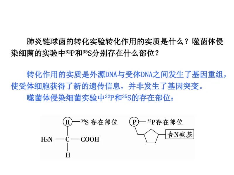 考点精讲9遗传的分子基础（教案）_新高考复习资料_2022年新高考复习资料_2022届一轮复习讲练结合7.13更新_系列二_考点精讲9遗传的分子基础