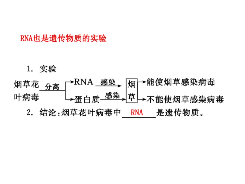 考点精讲9遗传的分子基础（教案）_新高考复习资料_2022年新高考复习资料_2022届一轮复习讲练结合7.13更新_系列二_考点精讲9遗传的分子基础
