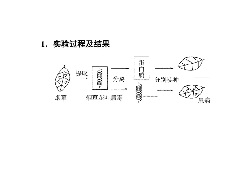 考点精讲9遗传的分子基础（教案）_新高考复习资料_2022年新高考复习资料_2022届一轮复习讲练结合7.13更新_系列二_考点精讲9遗传的分子基础