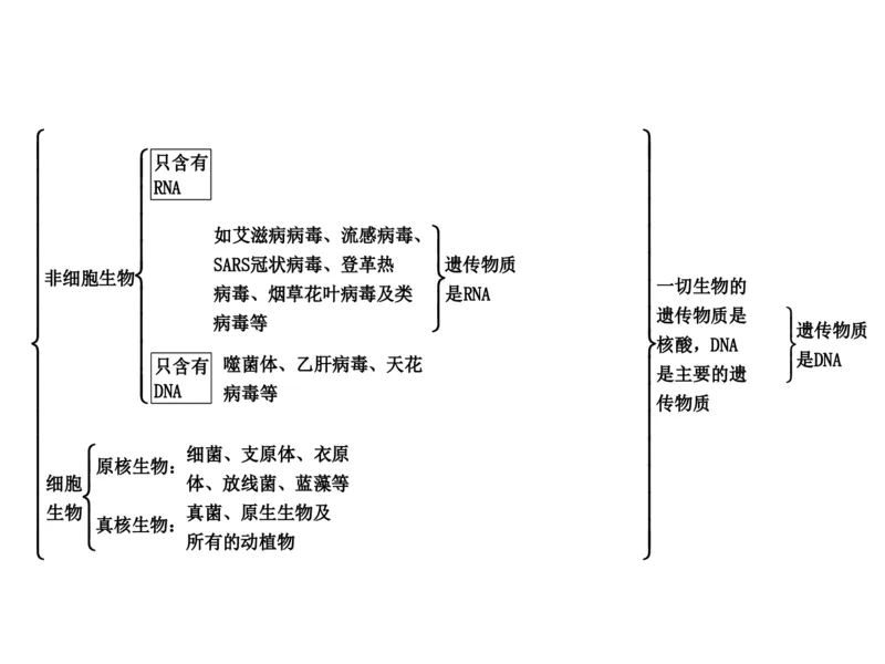 考点精讲9遗传的分子基础（教案）_新高考复习资料_2022年新高考复习资料_2022届一轮复习讲练结合7.13更新_系列二_考点精讲9遗传的分子基础