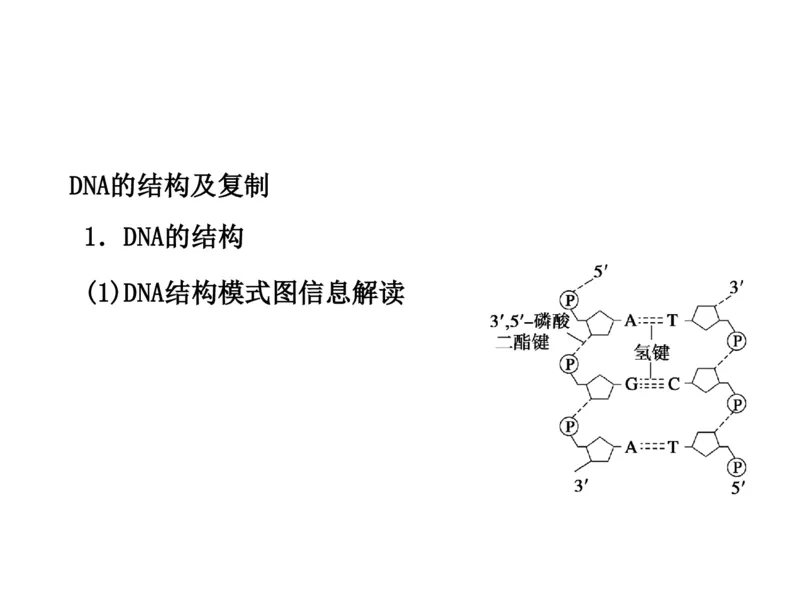 考点精讲9遗传的分子基础（教案）_新高考复习资料_2022年新高考复习资料_2022届一轮复习讲练结合7.13更新_系列二_考点精讲9遗传的分子基础