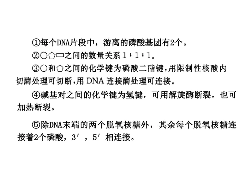 考点精讲9遗传的分子基础（教案）_新高考复习资料_2022年新高考复习资料_2022届一轮复习讲练结合7.13更新_系列二_考点精讲9遗传的分子基础