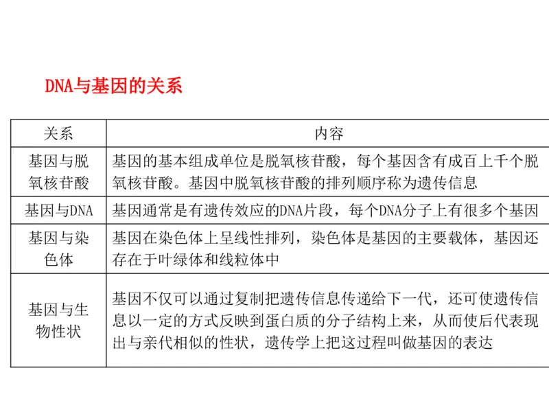 考点精讲9遗传的分子基础（教案）_新高考复习资料_2022年新高考复习资料_2022届一轮复习讲练结合7.13更新_系列二_考点精讲9遗传的分子基础