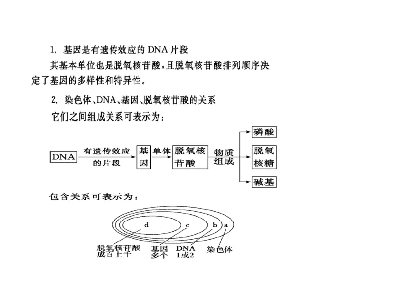 考点精讲9遗传的分子基础（教案）_新高考复习资料_2022年新高考复习资料_2022届一轮复习讲练结合7.13更新_系列二_考点精讲9遗传的分子基础
