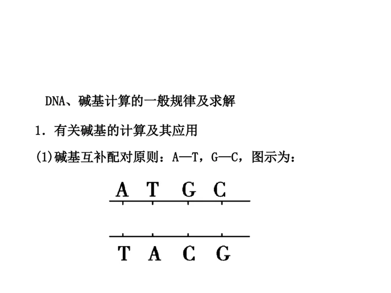 考点精讲9遗传的分子基础（教案）_新高考复习资料_2022年新高考复习资料_2022届一轮复习讲练结合7.13更新_系列二_考点精讲9遗传的分子基础
