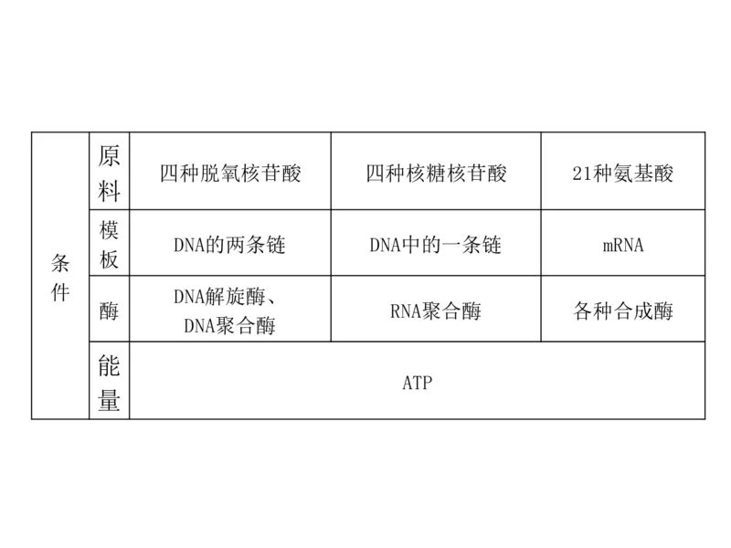 考点精讲9遗传的分子基础（教案）_新高考复习资料_2022年新高考复习资料_2022届一轮复习讲练结合7.13更新_系列二_考点精讲9遗传的分子基础