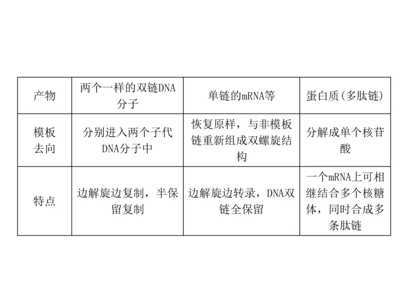 考点精讲9遗传的分子基础（教案）_新高考复习资料_2022年新高考复习资料_2022届一轮复习讲练结合7.13更新_系列二_考点精讲9遗传的分子基础