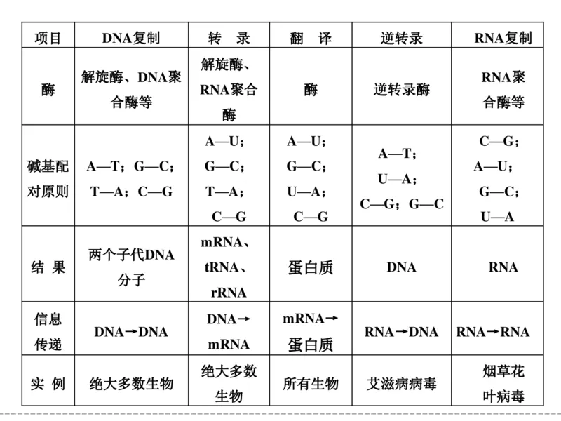 考点精讲9遗传的分子基础（教案）_新高考复习资料_2022年新高考复习资料_2022届一轮复习讲练结合7.13更新_系列二_考点精讲9遗传的分子基础