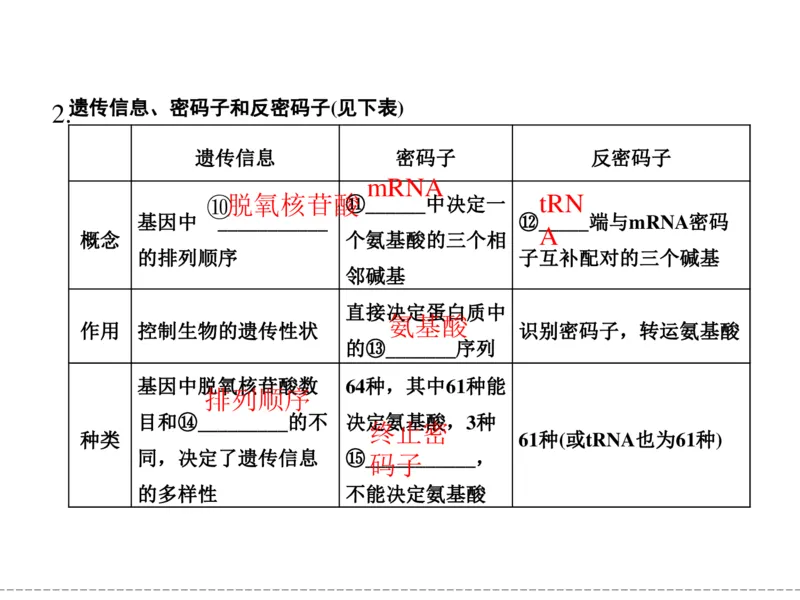 考点精讲9遗传的分子基础（教案）_新高考复习资料_2022年新高考复习资料_2022届一轮复习讲练结合7.13更新_系列二_考点精讲9遗传的分子基础