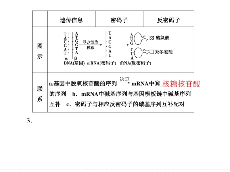 考点精讲9遗传的分子基础（教案）_新高考复习资料_2022年新高考复习资料_2022届一轮复习讲练结合7.13更新_系列二_考点精讲9遗传的分子基础